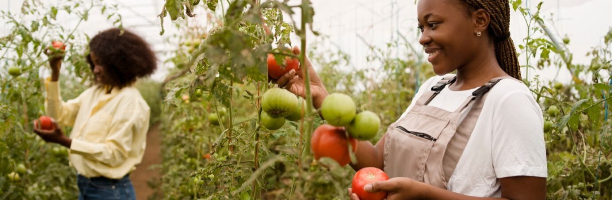 side-view-women-taking-care-plants_23-2149894691